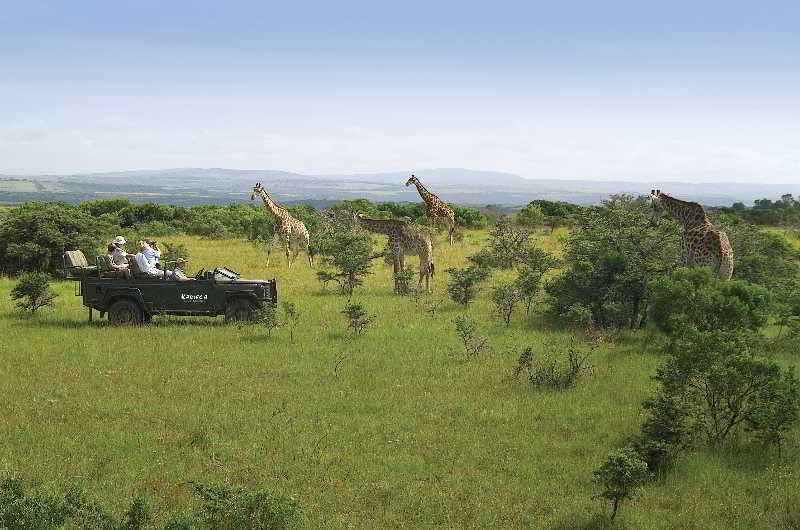 Kariega Game Reserve Bushman's River Mouth エクステリア 写真